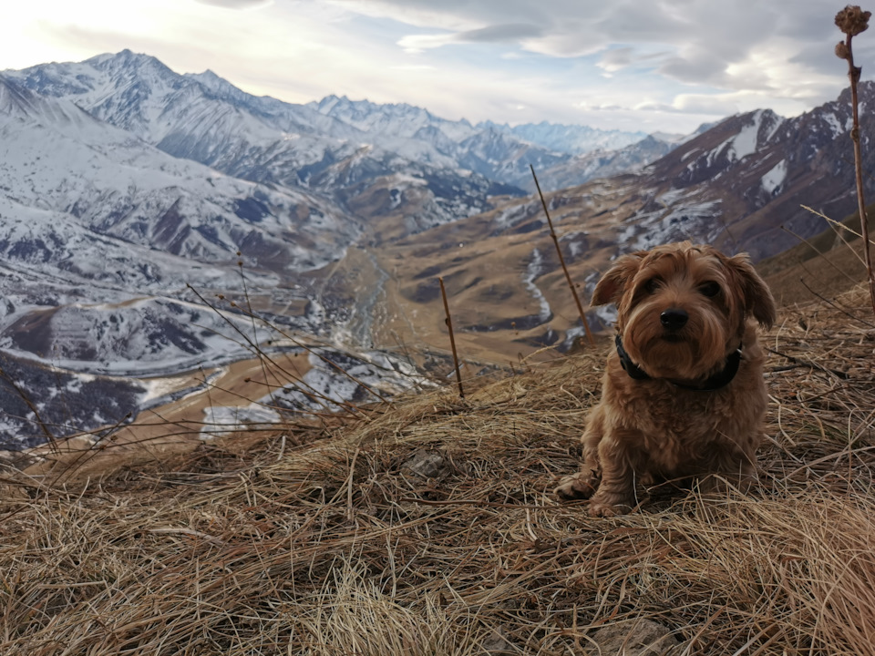 Силуэт счастливой девушки. 4 дня счастья. День счастливого человека открытки. Счастливая девушка на природе. Девочка с шариком на закате.