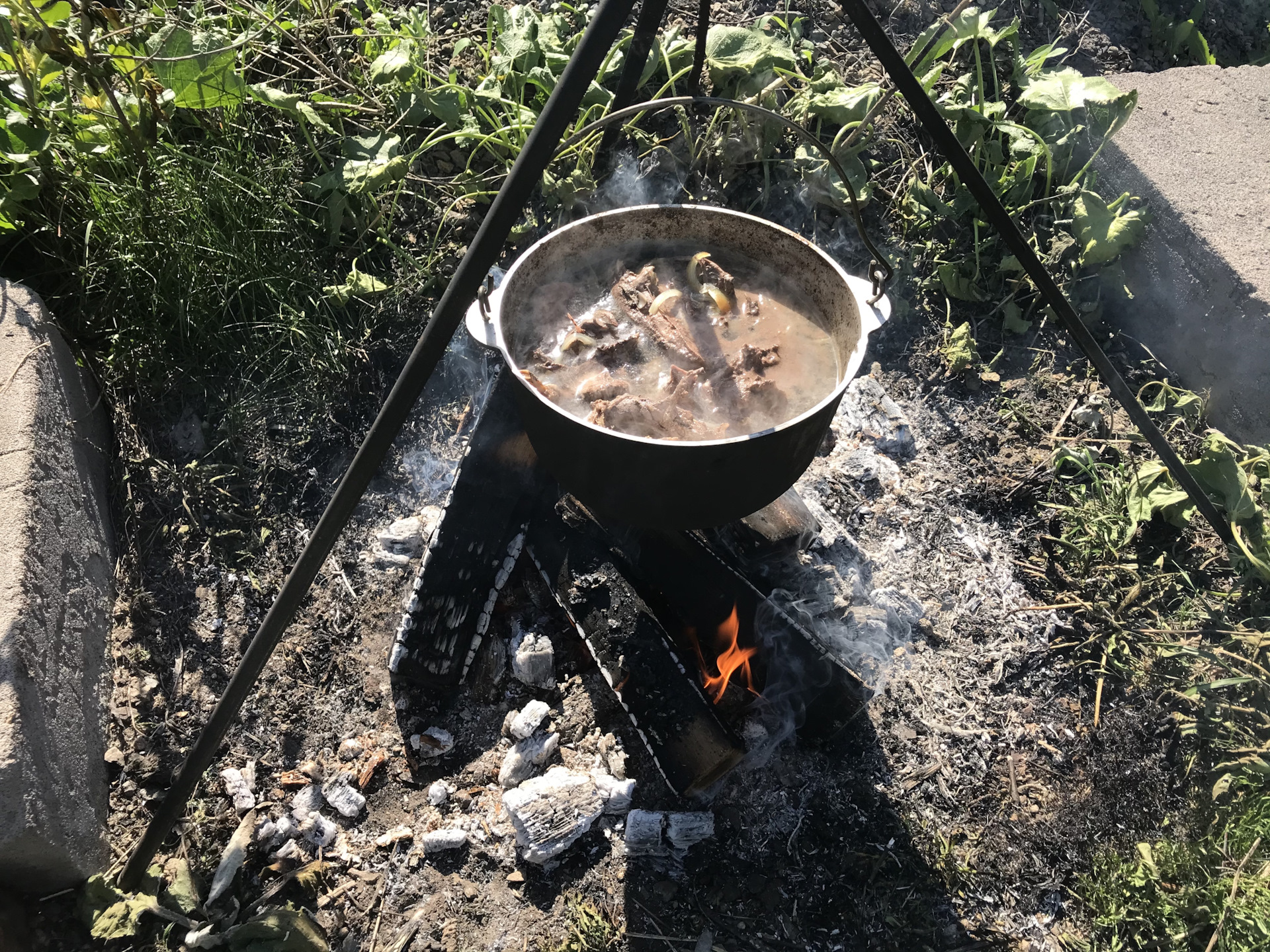 Шулюм из дикой утки на костре