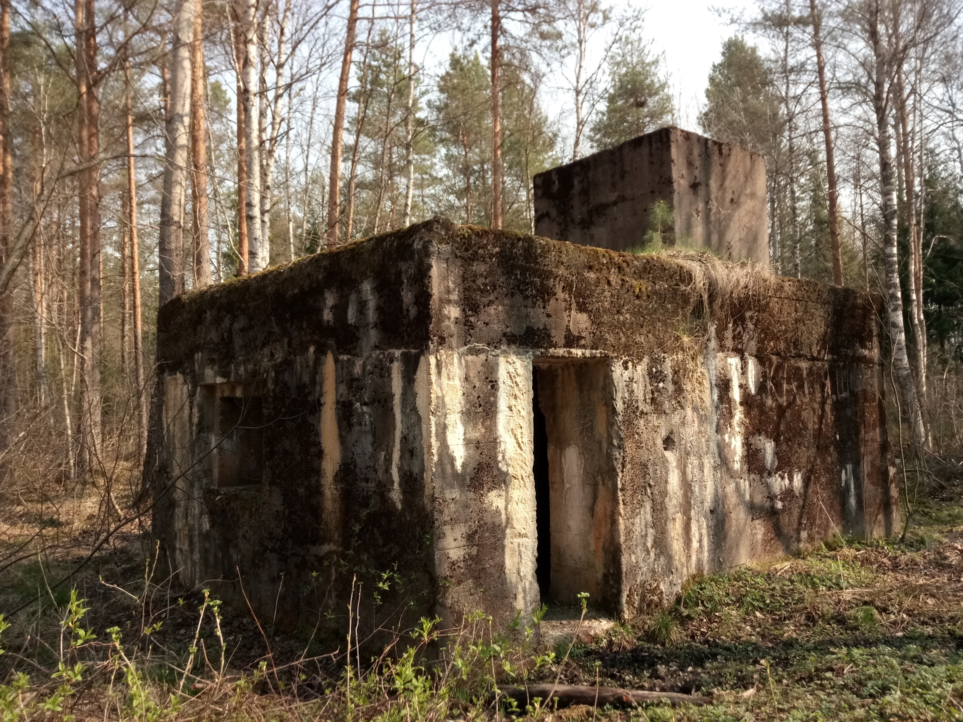 Бункер в лесу Перхушково