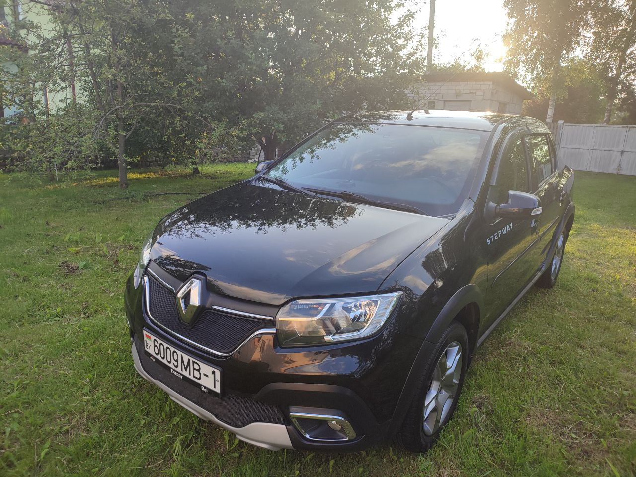 Воскресный уход за автомобилем — Renault Logan Stepway, 1,6 л, 2019 года | своими  руками | DRIVE2