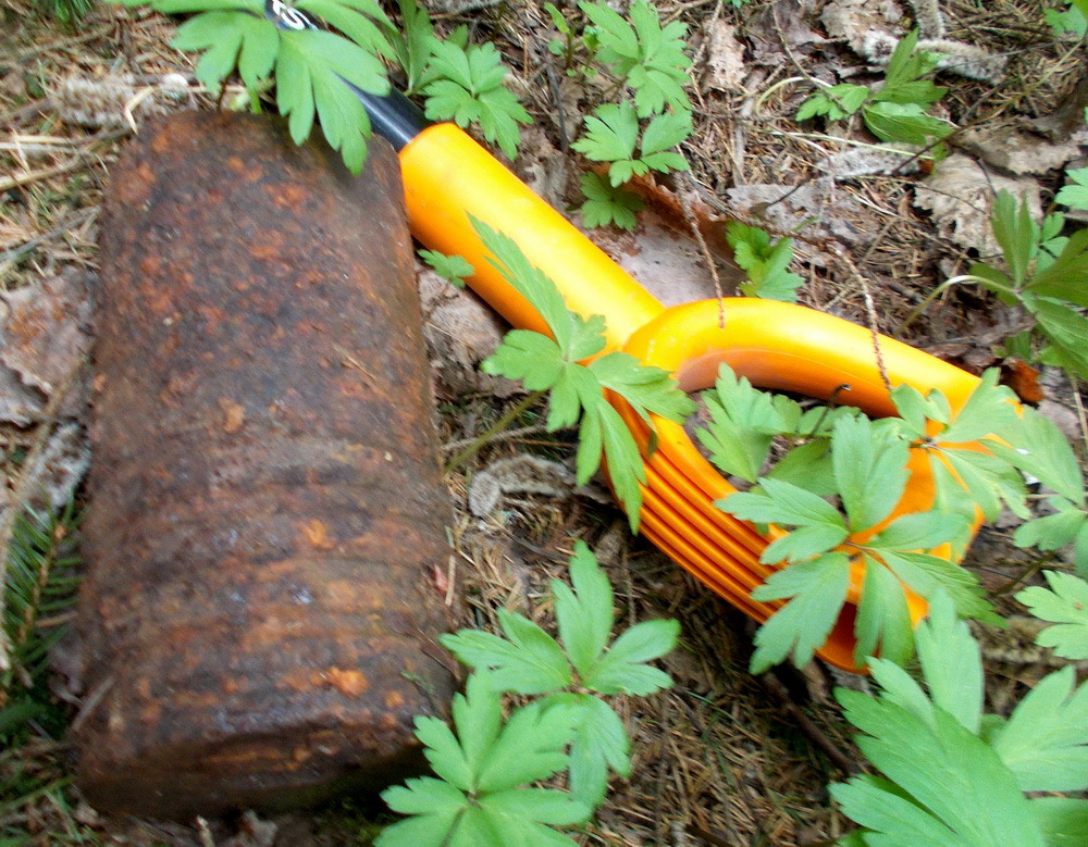 "Выезд в Лес, якобы за грибами" — DRIVE2