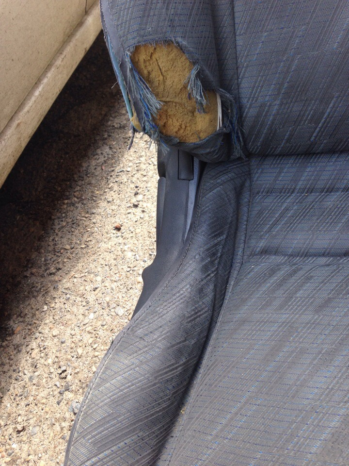 Toyo tires — BMW 3 series (F30), 2 л, 2012 года | шины | DRIVE2