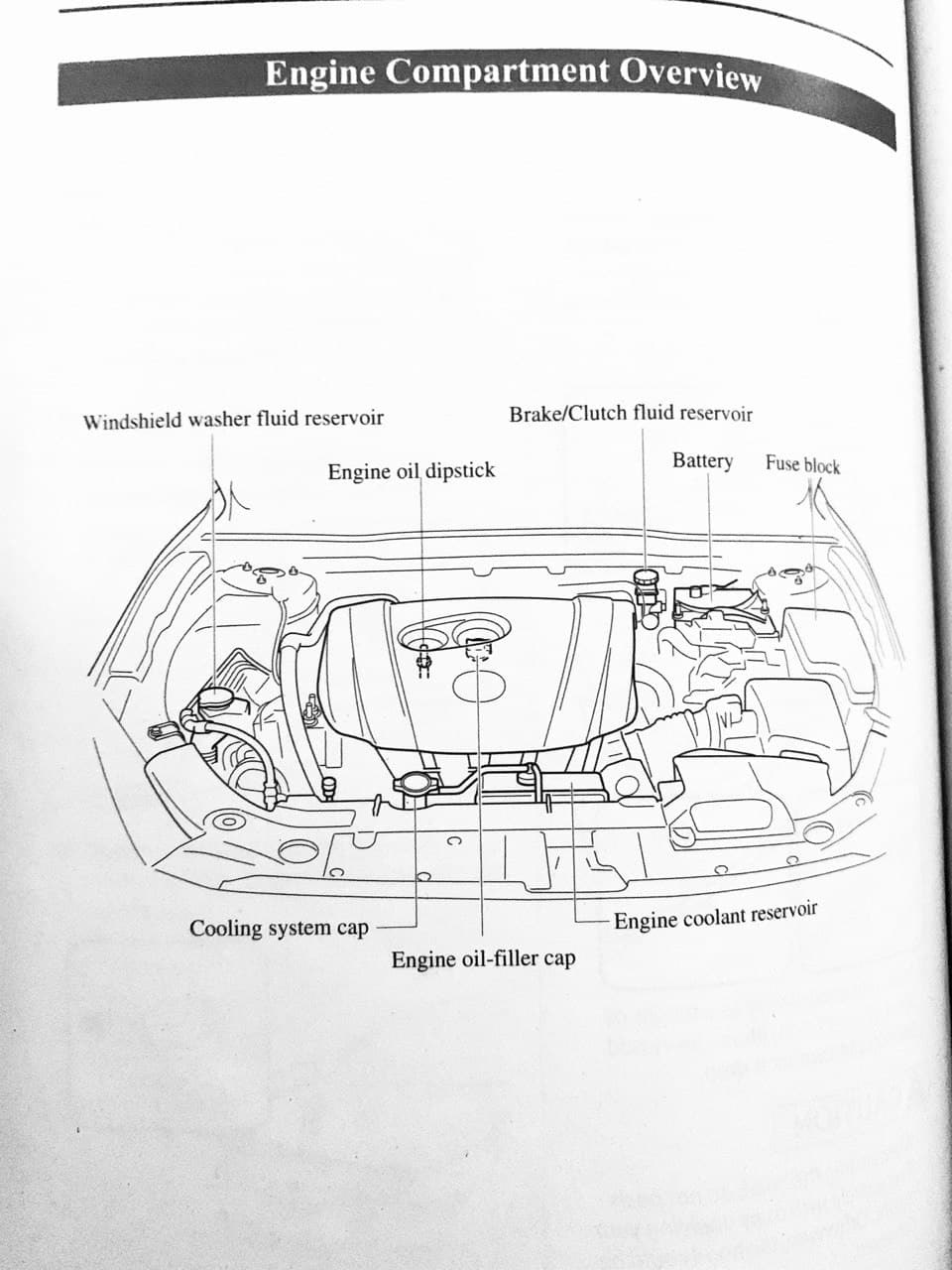 Номера расходников и жидкостей для Mazda 3 BM. Риски пригона авто. — Mazda  3 (3G) BM, 2 л, 2015 года | расходники | DRIVE2