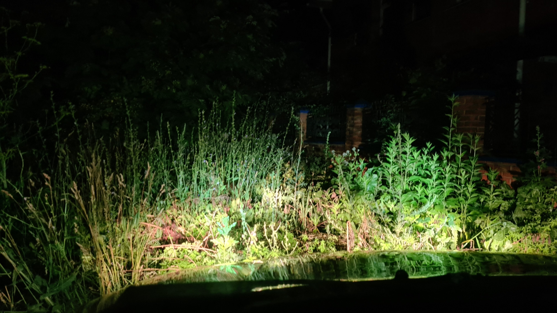 Колхозинг дхо в фары — Chevrolet Niva GLX, 2 л, 2007 года | своими ...