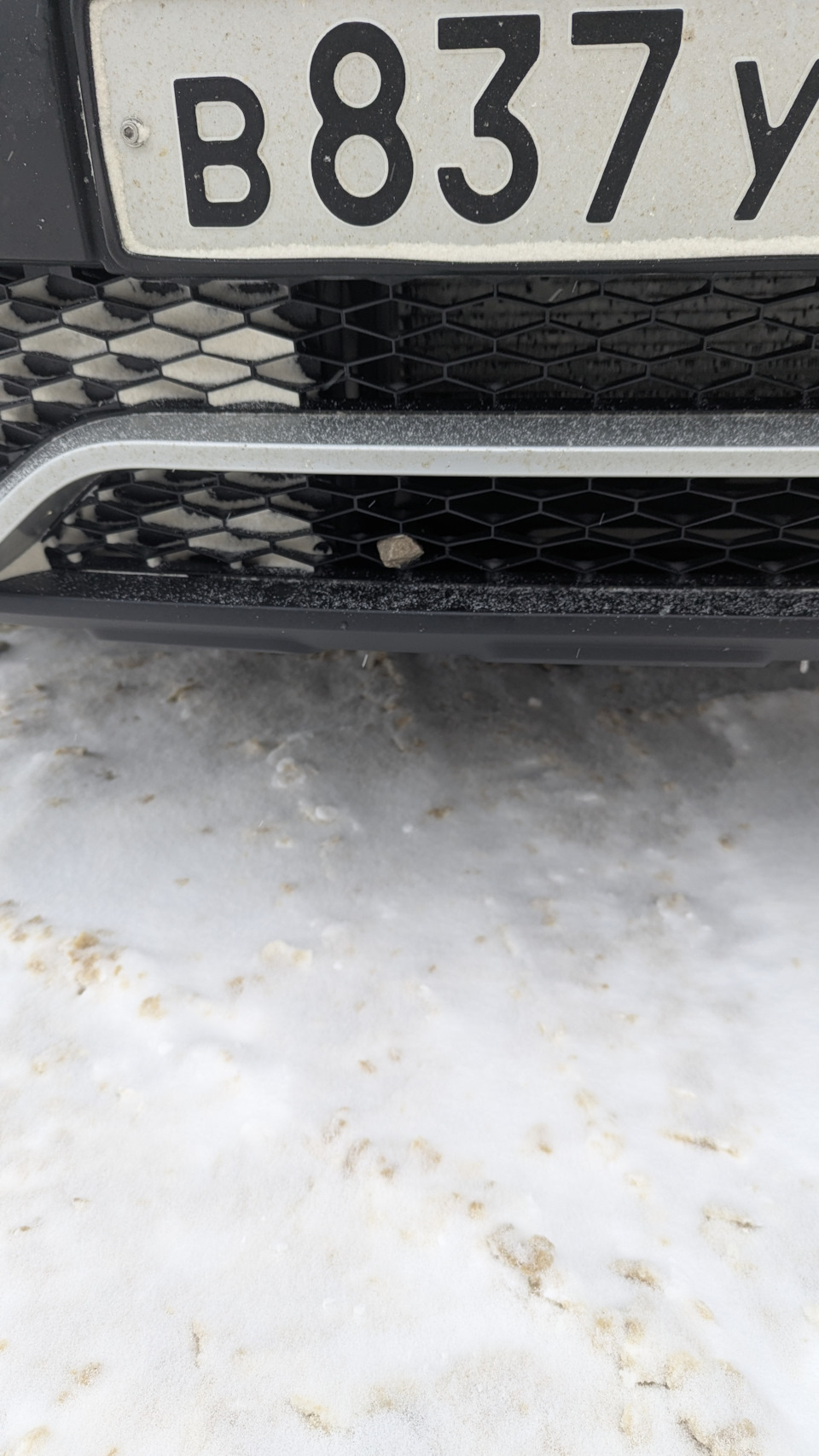 Камень в решетке. Сидит надежно. — Lada XRAY Cross