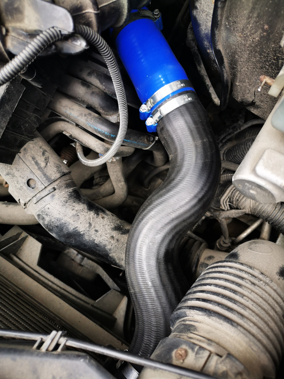 Патрубок от турбины к интеркулеру — Renault Master (3G), 2,5 л, 2010 ...