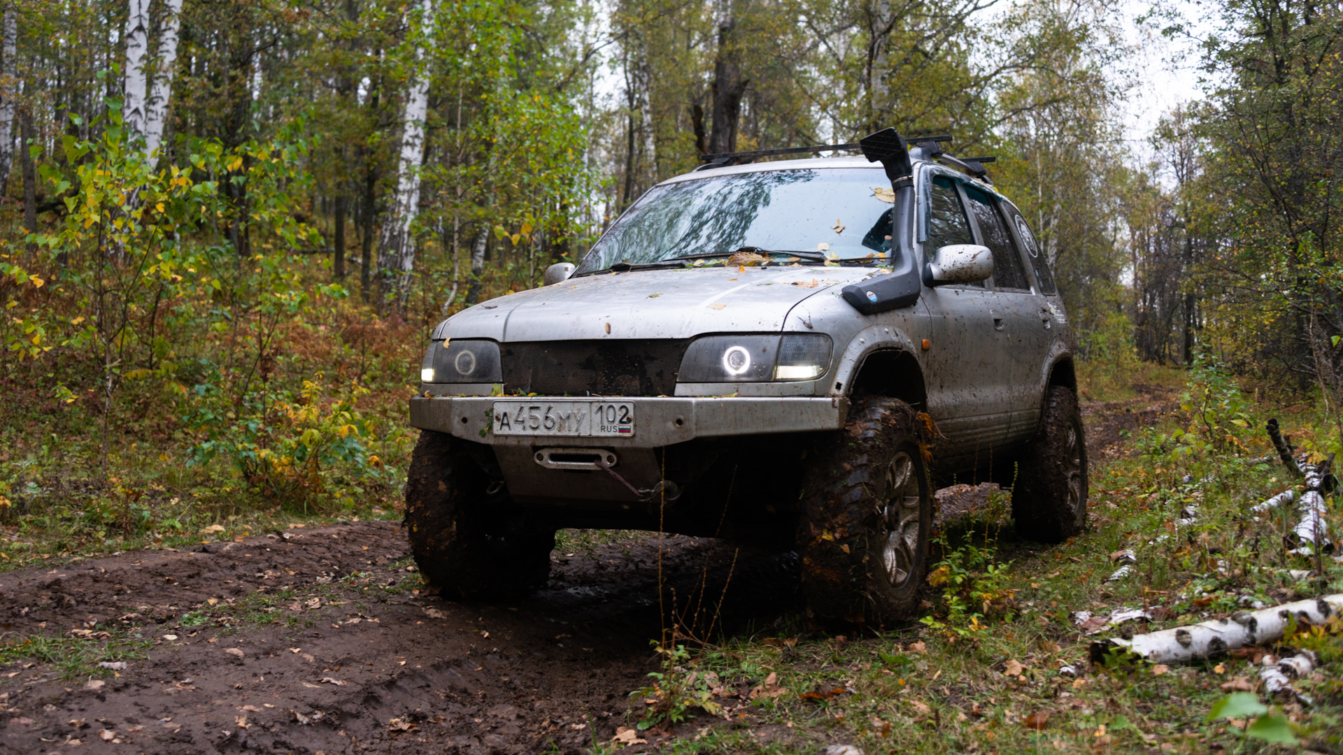 KIA Sportage (1G) 2.0 бензиновый 2006 | Уральский Барсук на DRIVE2