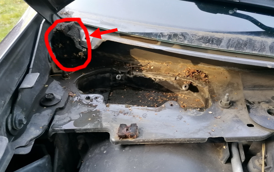 Место, где стоит губка. — Lincoln Town Car III