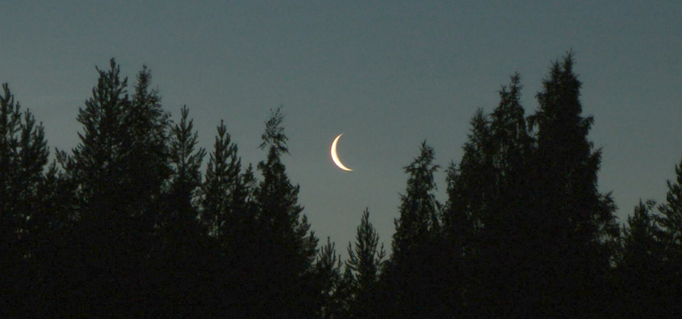 Фото в бортжурнале Mitsubishi Pajero Sport (2G)