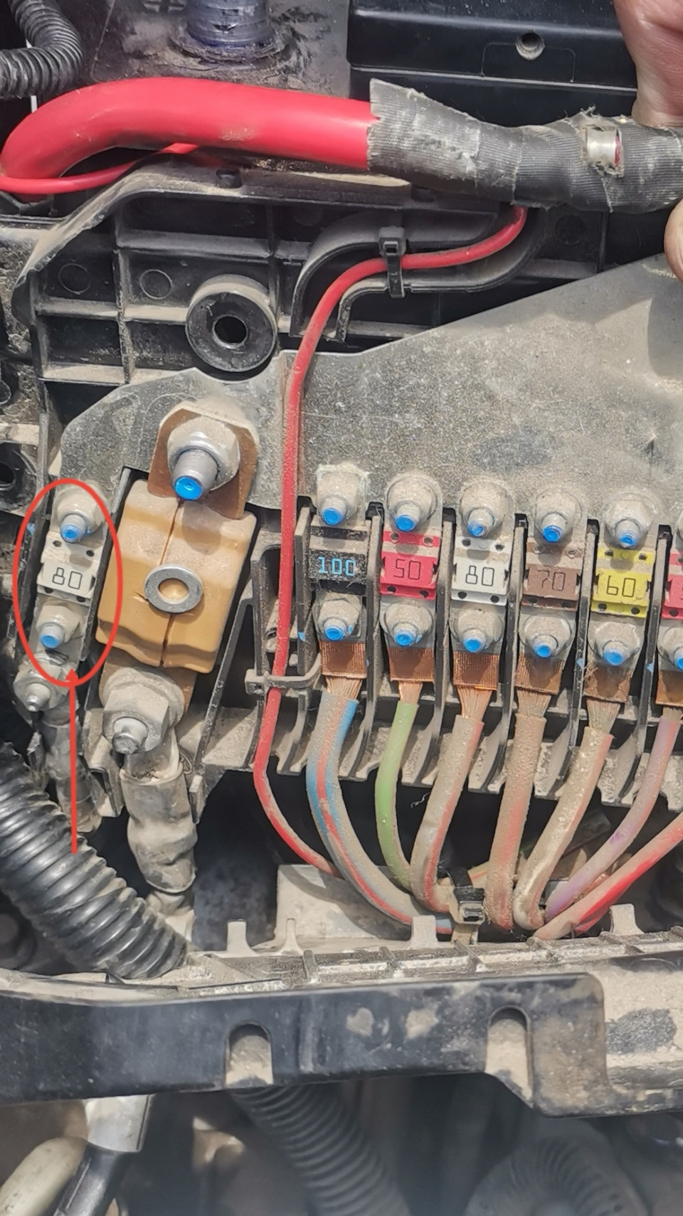 Фото в бортжурнале Ford Kuga (2G)