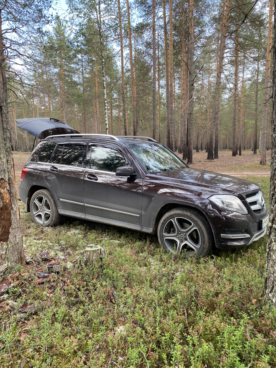 Замена пружин на Sachs (491 подвеска) — Mercedes-Benz GLK-Class (X204), 2,1  л, 2013 года | запчасти | DRIVE2