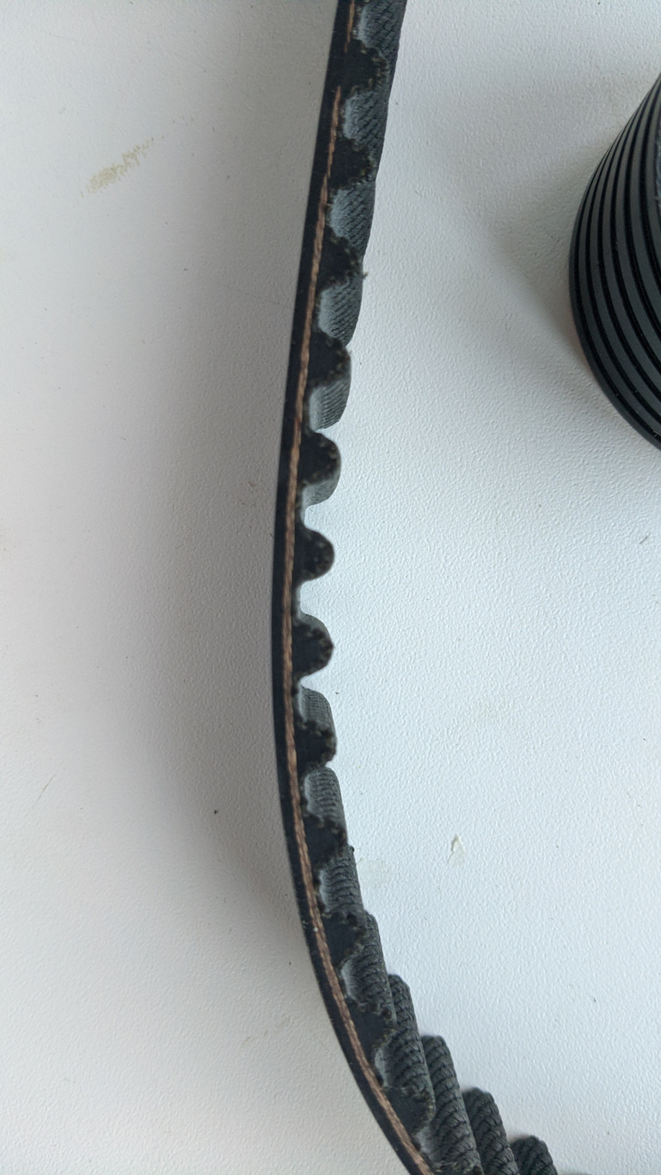 Фото в бортжурнале Renault Fluence