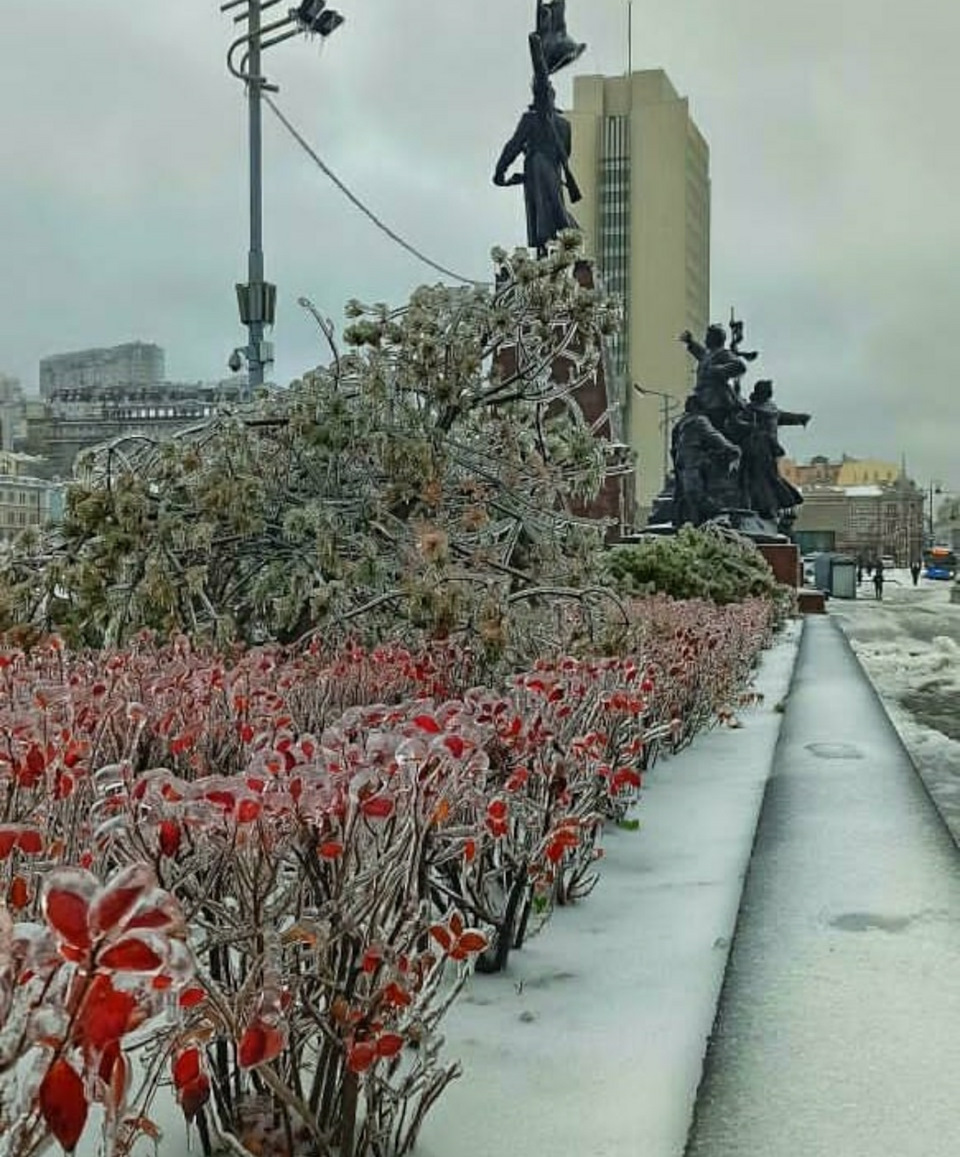 Фото владивосток в ноябре