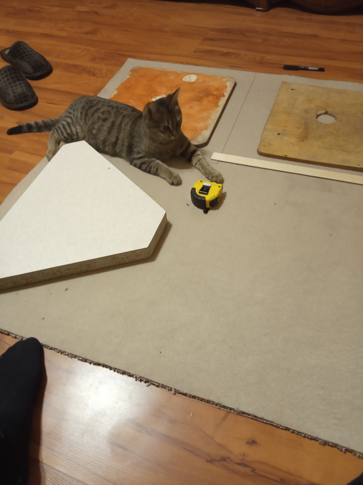 Когтеточка и гамак для кота — Сообщество «Сделай Сам» на DRIVE2