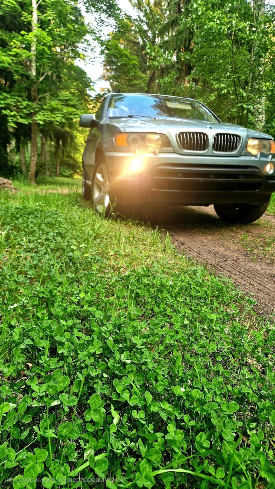 Фото в бортжурнале BMW X5 (E53)