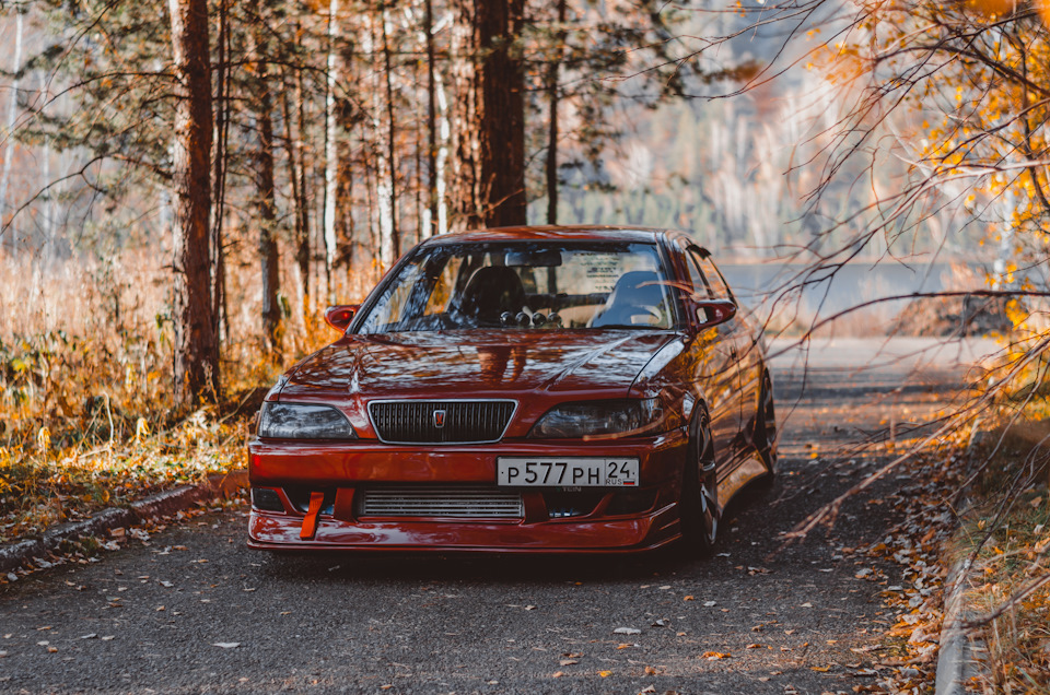 Полка в багажник — SEAT Toledo (3G), 2 л, 2006 года | аксессуары | DRIVE2