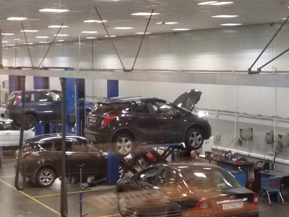 какая жидкость заливается в акпп опель мокка. Смотреть фото какая жидкость заливается в акпп опель мокка. Смотреть картинку какая жидкость заливается в акпп опель мокка. Картинка про какая жидкость заливается в акпп опель мокка. Фото какая жидкость заливается в акпп опель мокка какая жидкость заливается в акпп опель мокка. Смотреть фото какая жидкость заливается в акпп опель мокка. Смотреть картинку какая жидкость заливается в акпп опель мокка. Картинка про какая жидкость заливается в акпп опель мокка. Фото какая жидкость заливается в акпп опель мокка