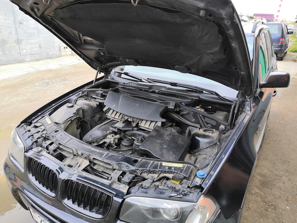 Легкое ТО — BMW X3 (E83), 3 л, 2004 года | расходники | DRIVE2