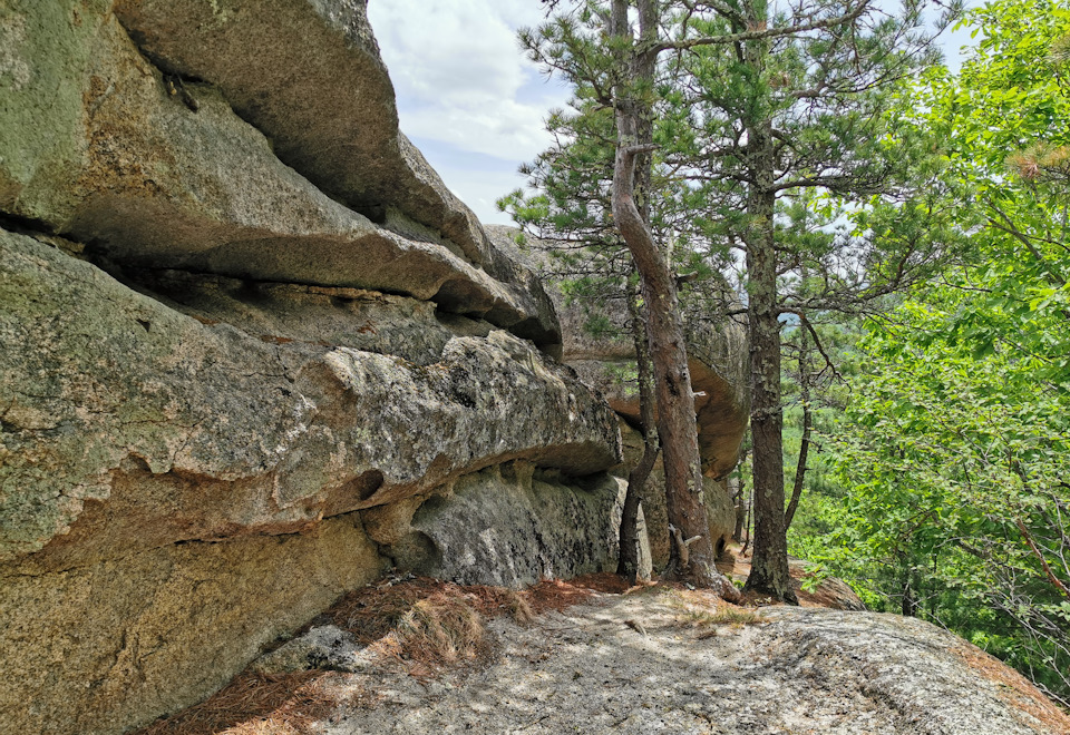 Фото в бортжурнале Toyota Land Cruiser Prado 70-series