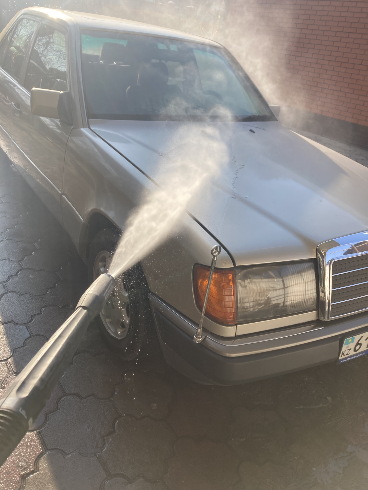 W124 флагшток