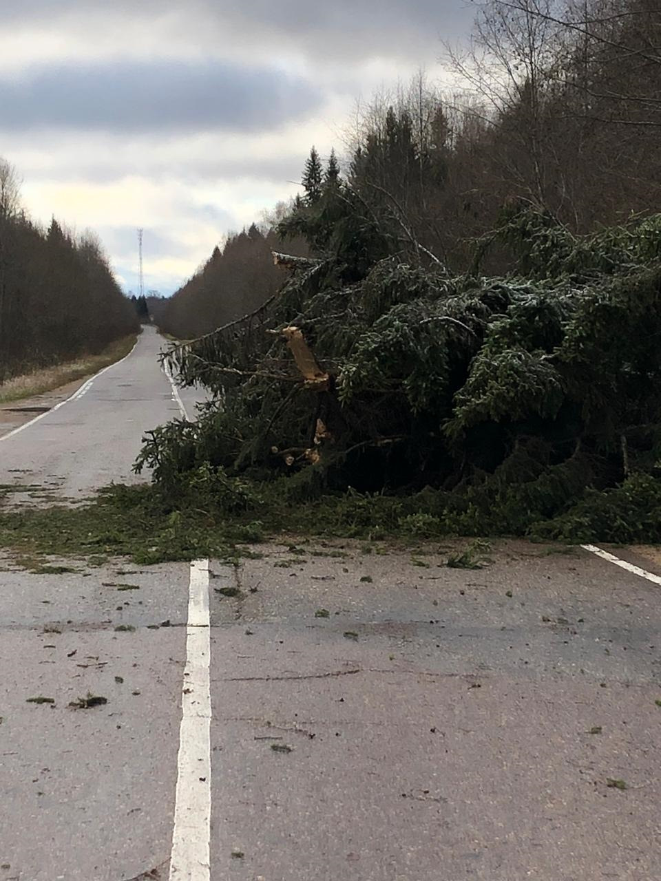Uragan V Tverskoj Oblasti Drive2