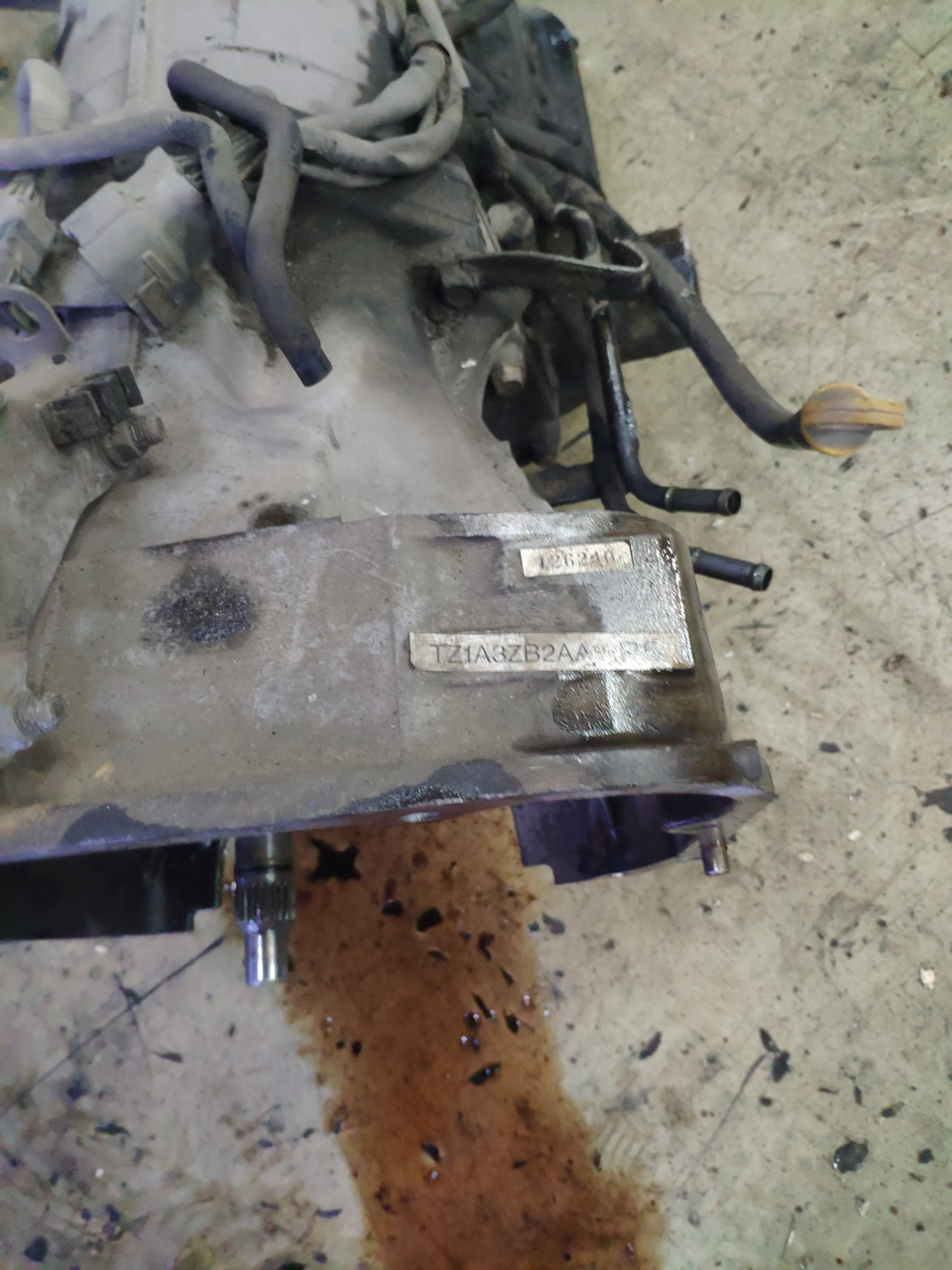 Новый KIA Soul выбирает приключения! — АГАЛАТ на DRIVE2