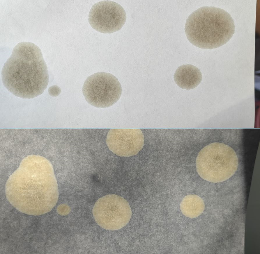 Датчики давления и температуры масла DEPO 4в1. Какую вязкость масла все ...