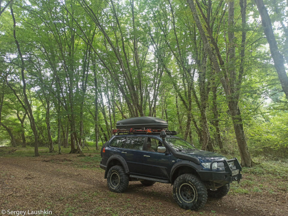 Самурский лес. — Mitsubishi Pajero Sport (2G)