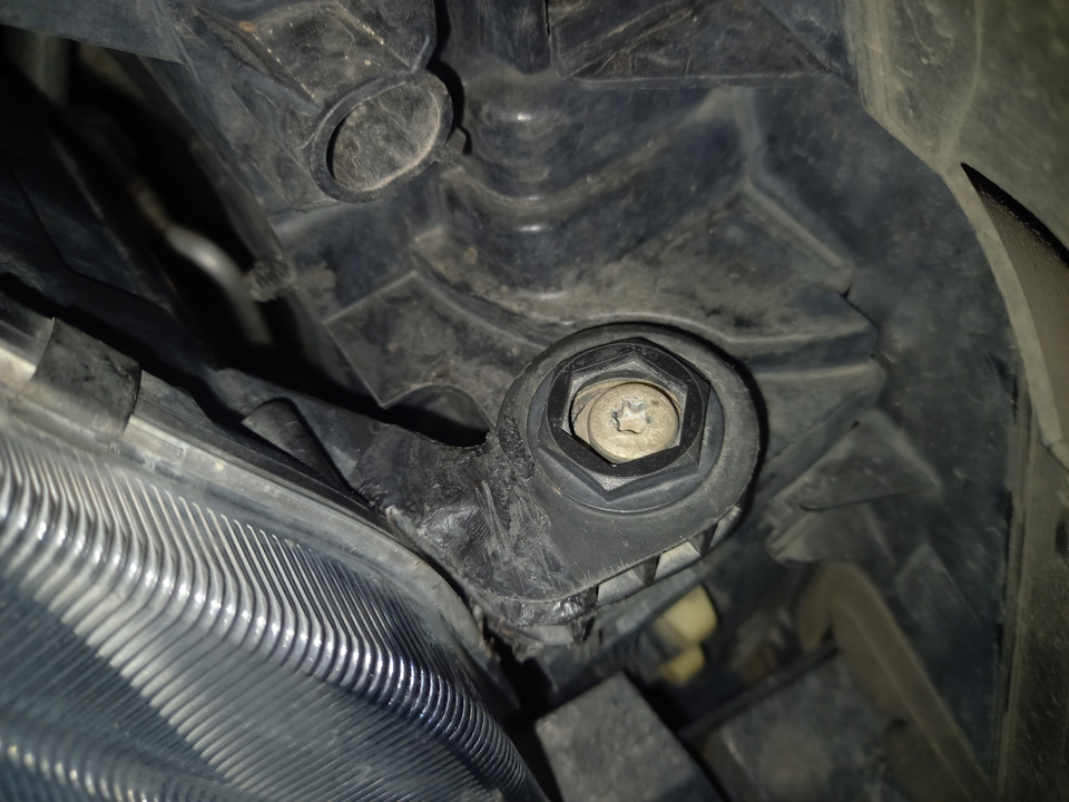 Фото в бортжурнале Skoda Octavia A7 Mk3