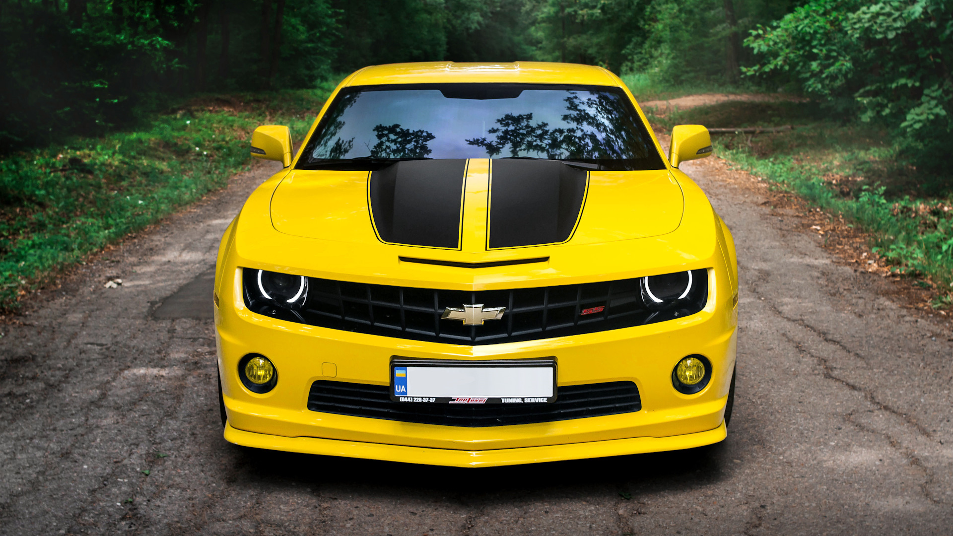 Chevrolet Camaro v6