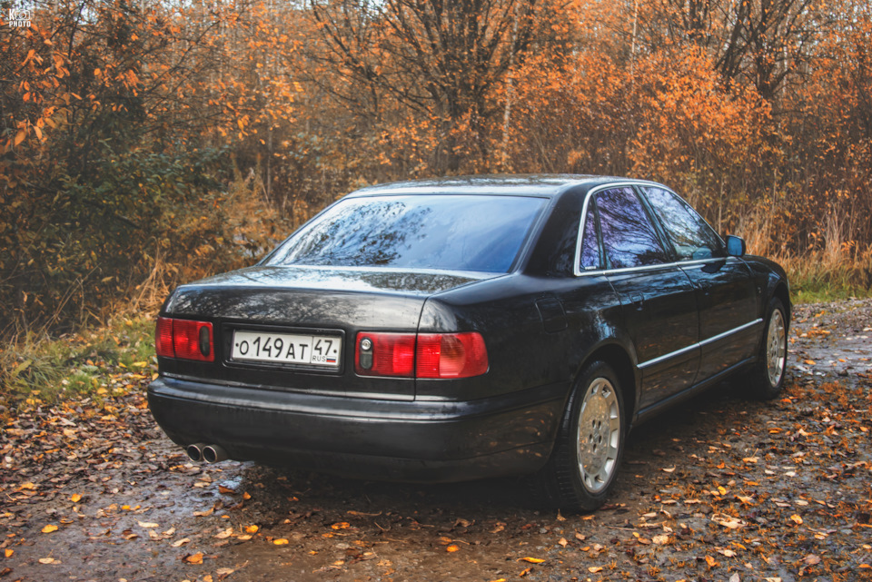 Фото в бортжурнале Audi A8 (D2)