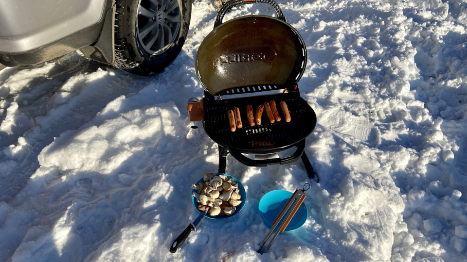 Гриль как всегда был вне конкуренции и в очередной раз победил все окружающие нас мангала на углях в сухую😎 — Honda CR-V (RD4/RD5/RD6/RD7)