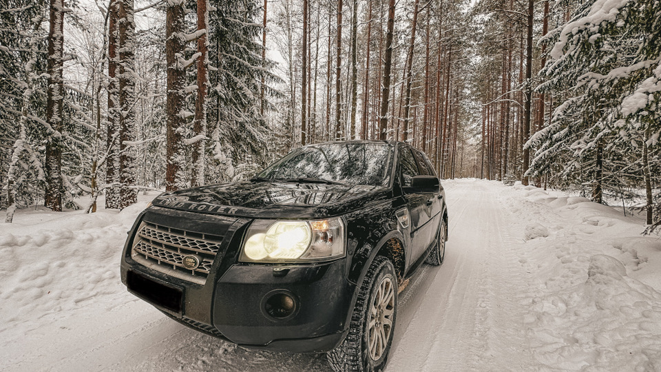 Чипанулся! — Land Rover Freelander 2 (L359), 2,2 л, 2009 года | тюнинг ...