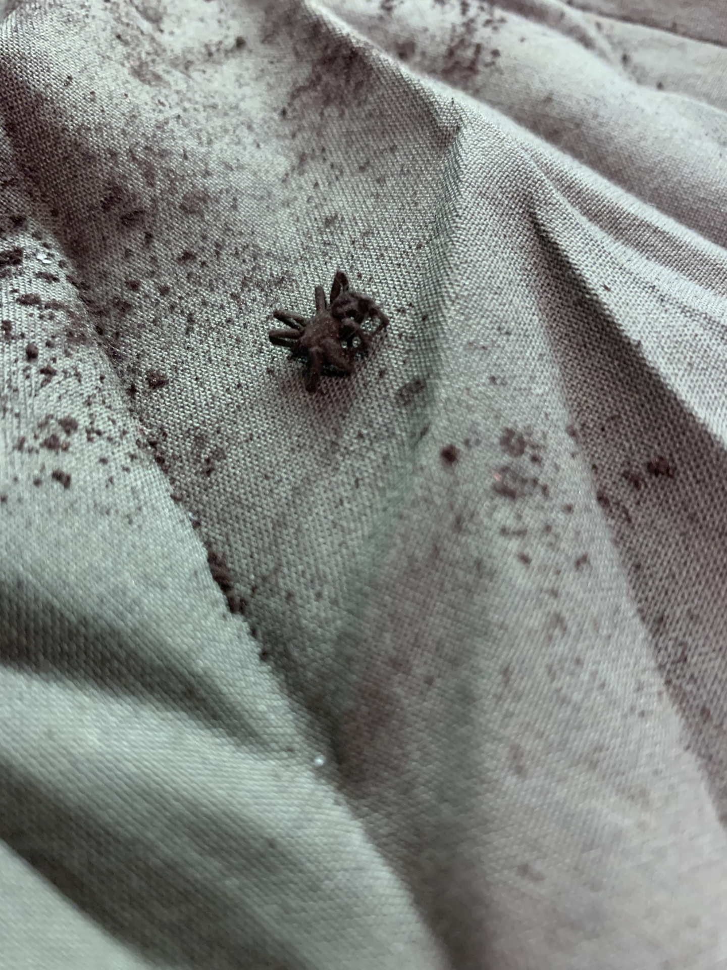 Свист вентилятора отопителя — Suzuki Grand Vitara (2G), 2 л., 2013 года ...