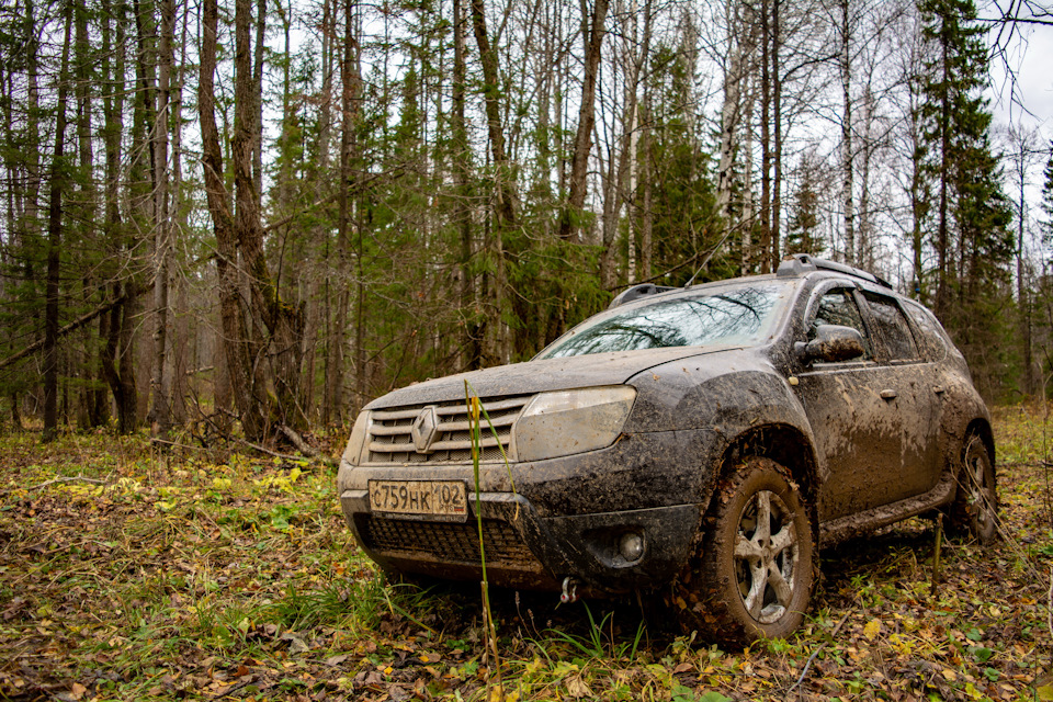 Добрались до леса — Renault Duster (1G)