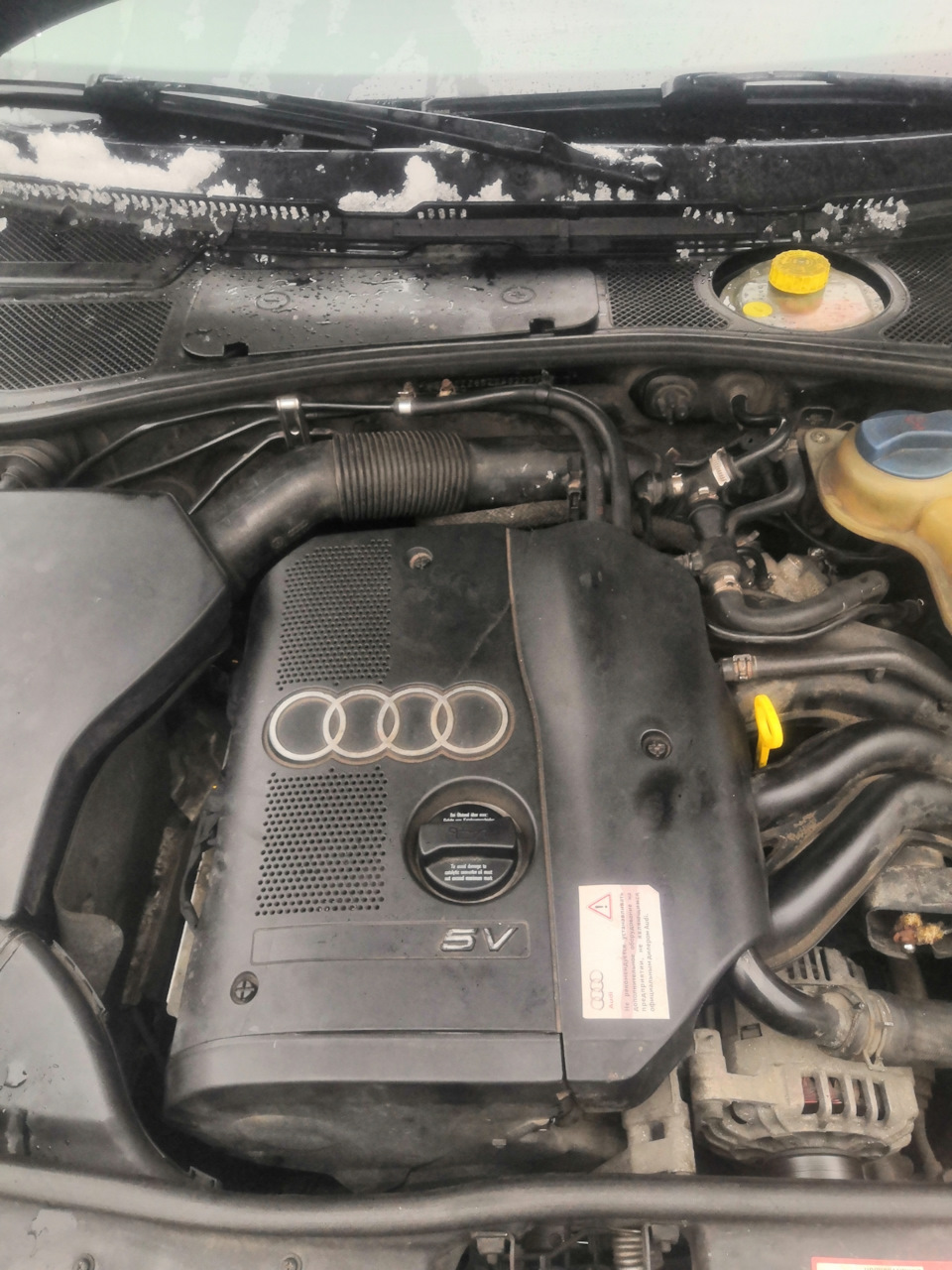 Фото в бортжурнале Audi A4 (B5)