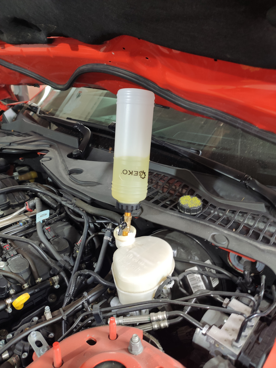 Фото в бортжурнале Ford Mustang (6G)