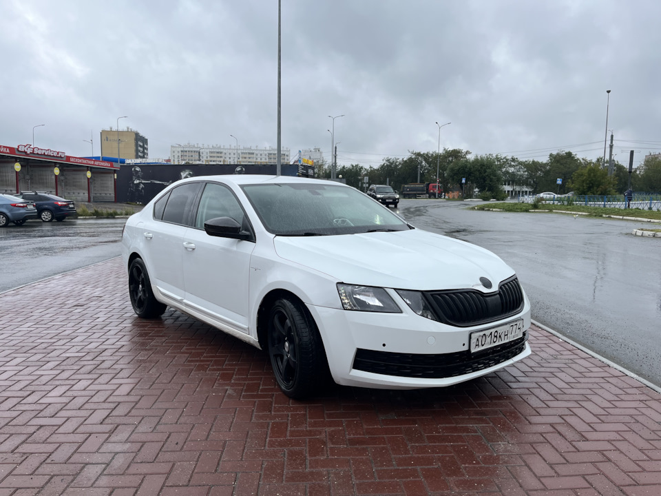 Фото в бортжурнале Skoda Octavia A7 Mk3