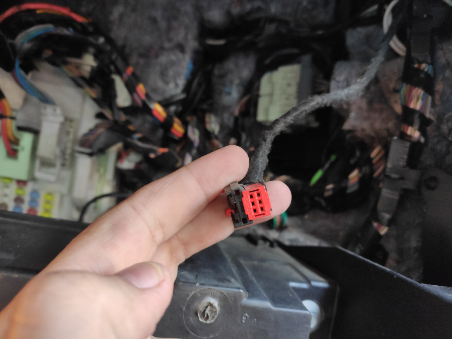 распиновка колодки фары форд фокус 2. разъем фары форд фокус 3. фишка фары форд фокус 2 дорестайлинг. форд фокус фишки. пины зеркал форд фокус 2.