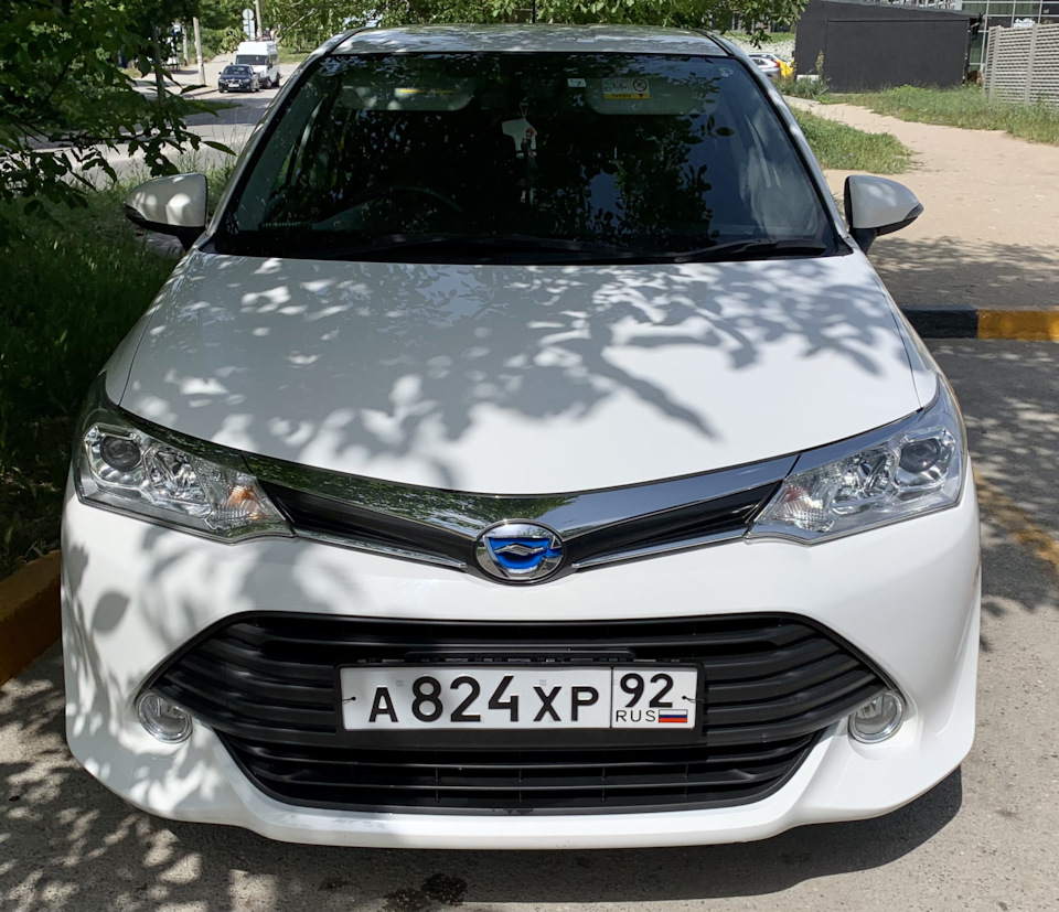 17. Полтора года в РФ — Toyota Corolla Fielder Hybrid, 1,5 л, 2016 года |  наблюдение | DRIVE2