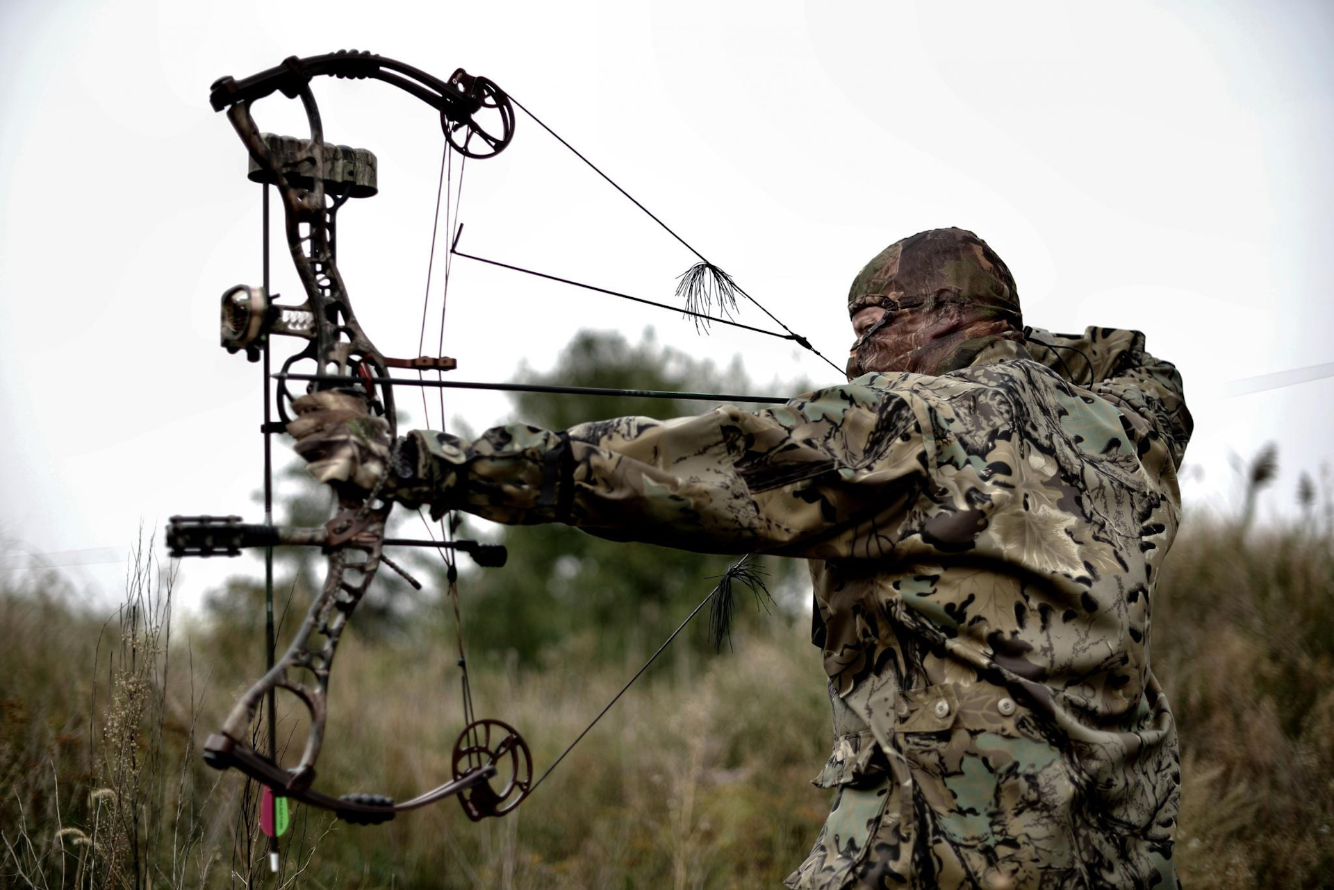 Hunting bows, top of the line hunting bows?