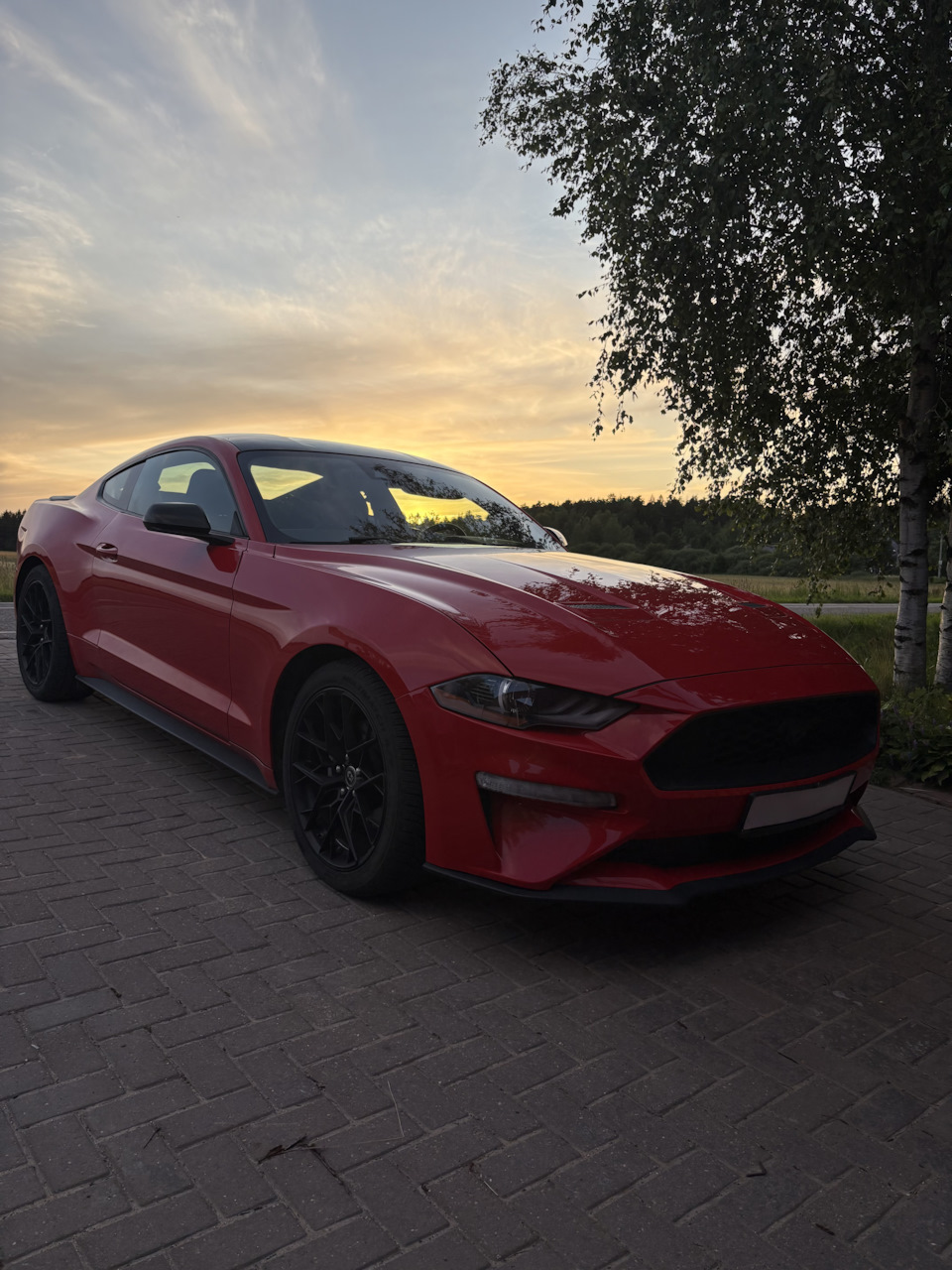 Photo from the logbook Ford Mustang (6G)
