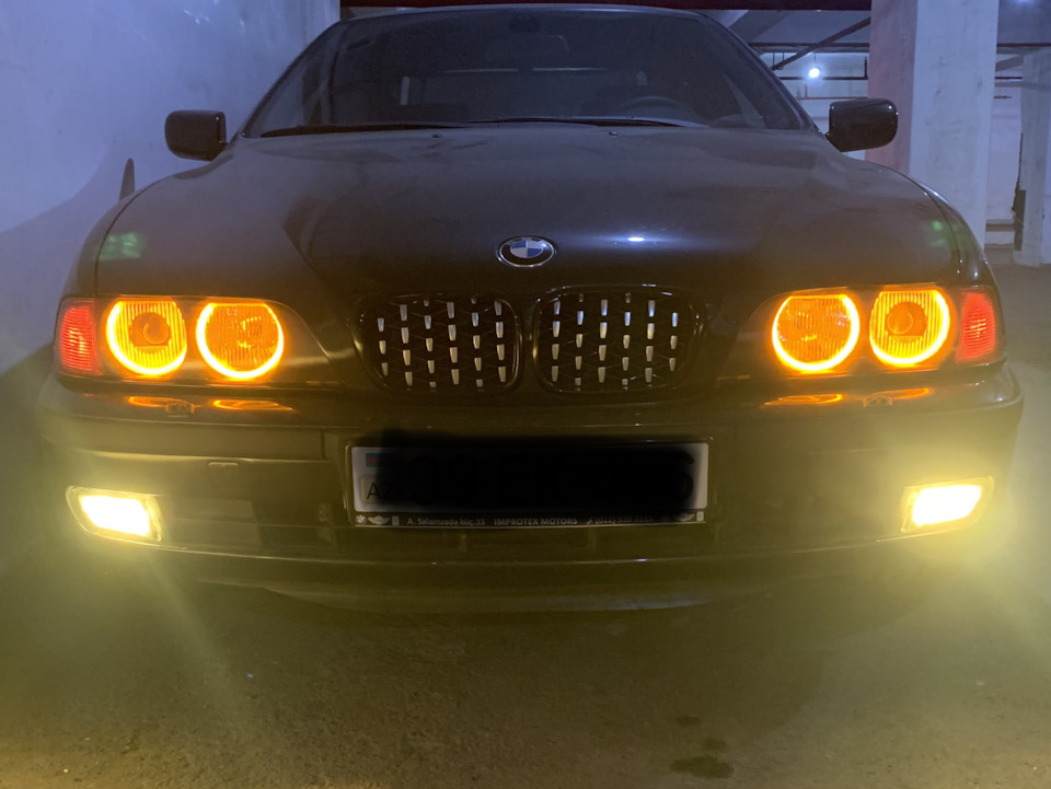 Противотуманные фары с желтыми галогеновыми лампами H7 — BMW 5 series ...