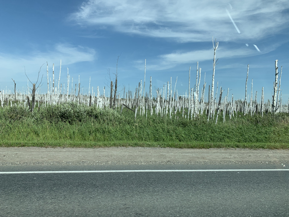 Photo from the logbook Toyota Highlander (XU50)