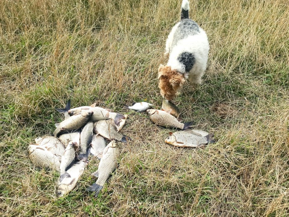 Фото в бортжурнале Mitsubishi Pajero (4G)