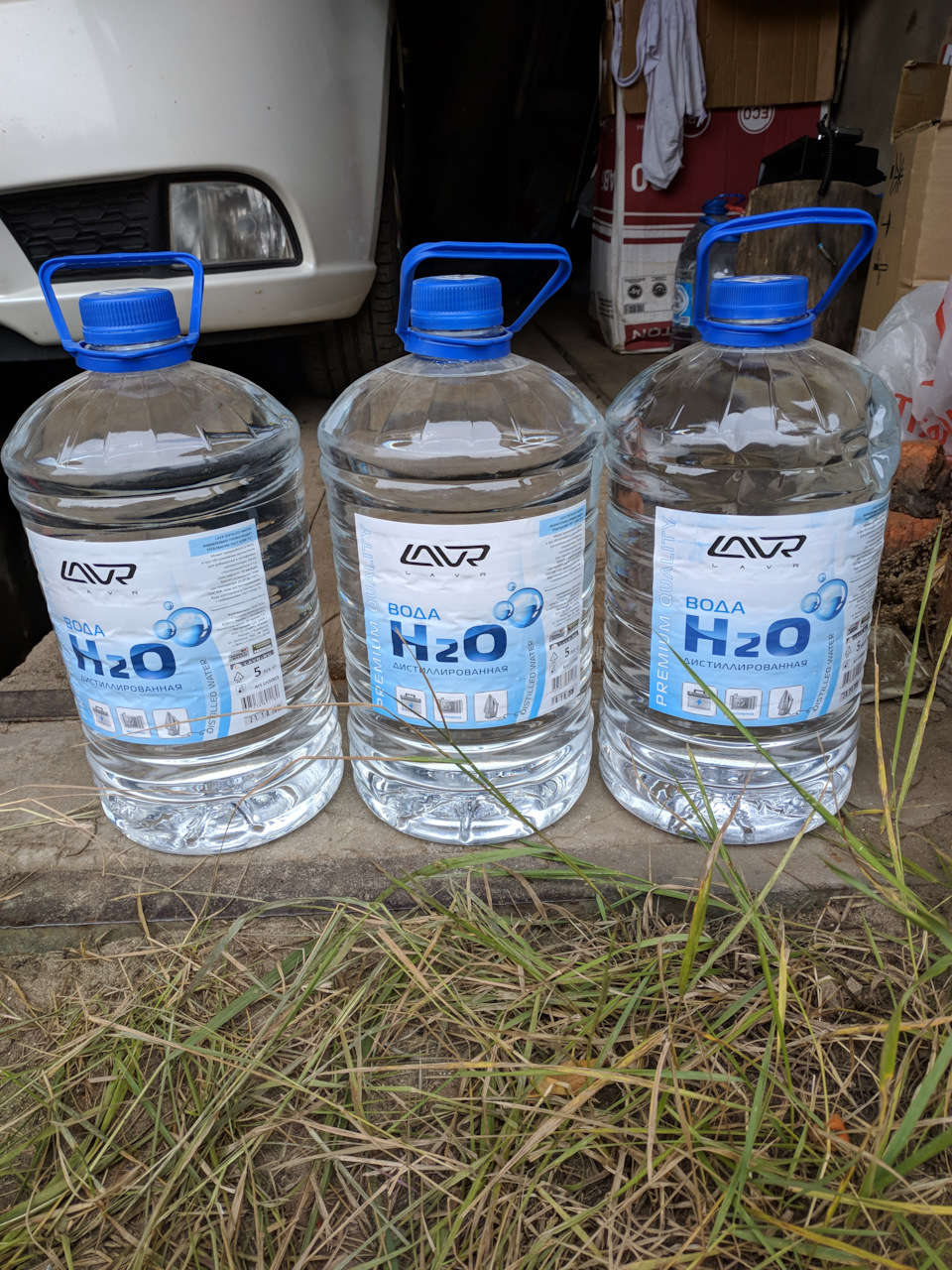 в киа церато какую охлаждающую жидкость заливают. Смотреть фото в киа церато какую охлаждающую жидкость заливают. Смотреть картинку в киа церато какую охлаждающую жидкость заливают. Картинка про в киа церато какую охлаждающую жидкость заливают. Фото в киа церато какую охлаждающую жидкость заливают в киа церато какую охлаждающую жидкость заливают. Смотреть фото в киа церато какую охлаждающую жидкость заливают. Смотреть картинку в киа церато какую охлаждающую жидкость заливают. Картинка про в киа церато какую охлаждающую жидкость заливают. Фото в киа церато какую охлаждающую жидкость заливают