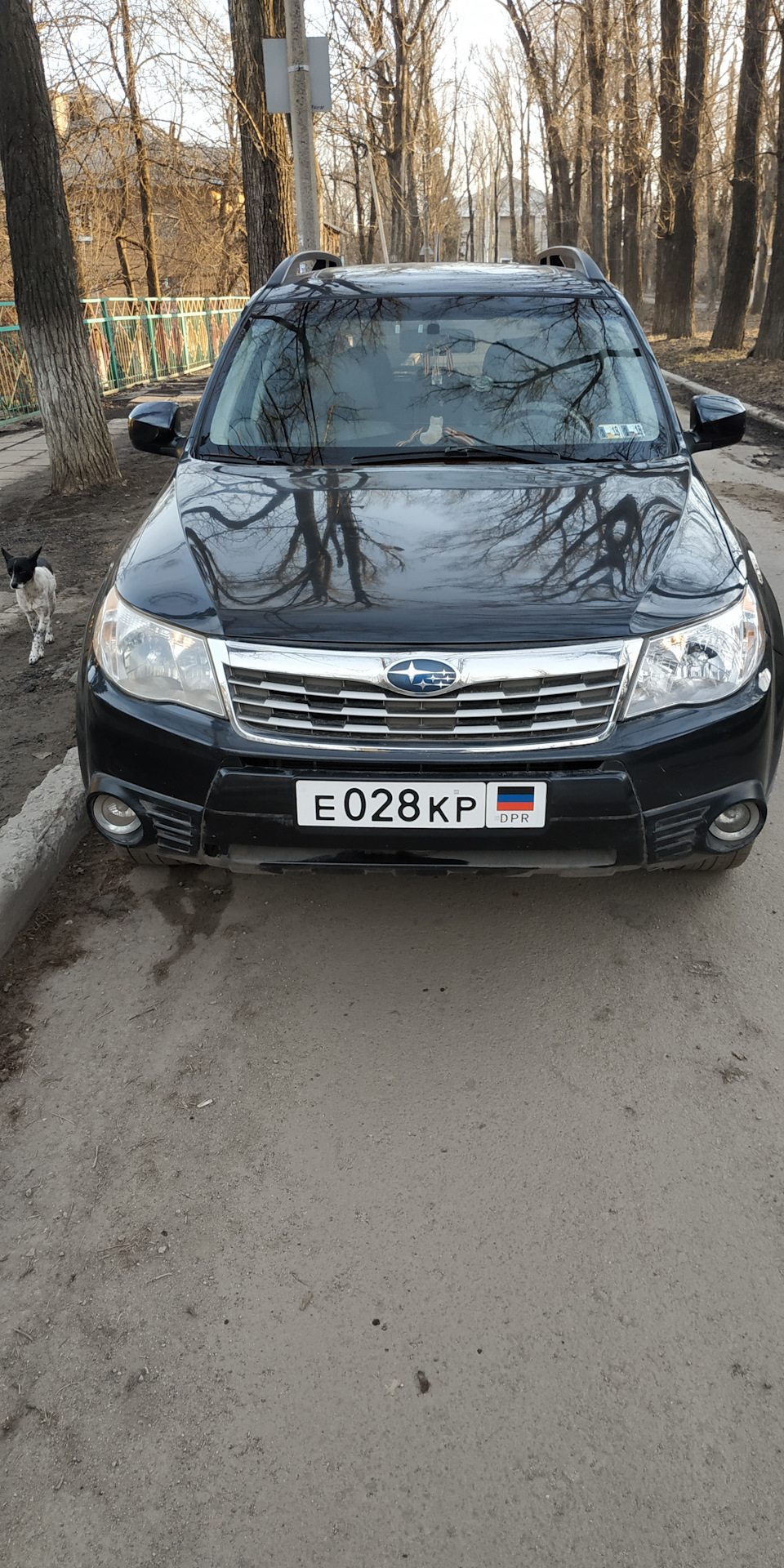 Постановка на учет. — Subaru Forester (SH), 2,5 л, 2008 года | налоги и  пошлины | DRIVE2