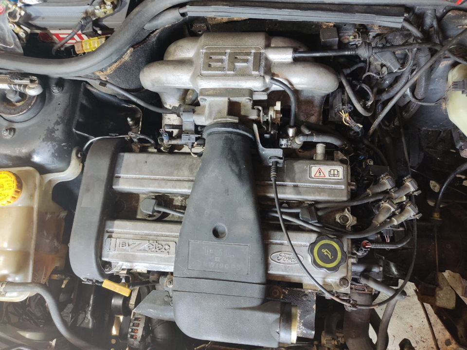 После покупки… — Ford Escort Mk6, 1,6 л, 1995 года | визит на сервис ...