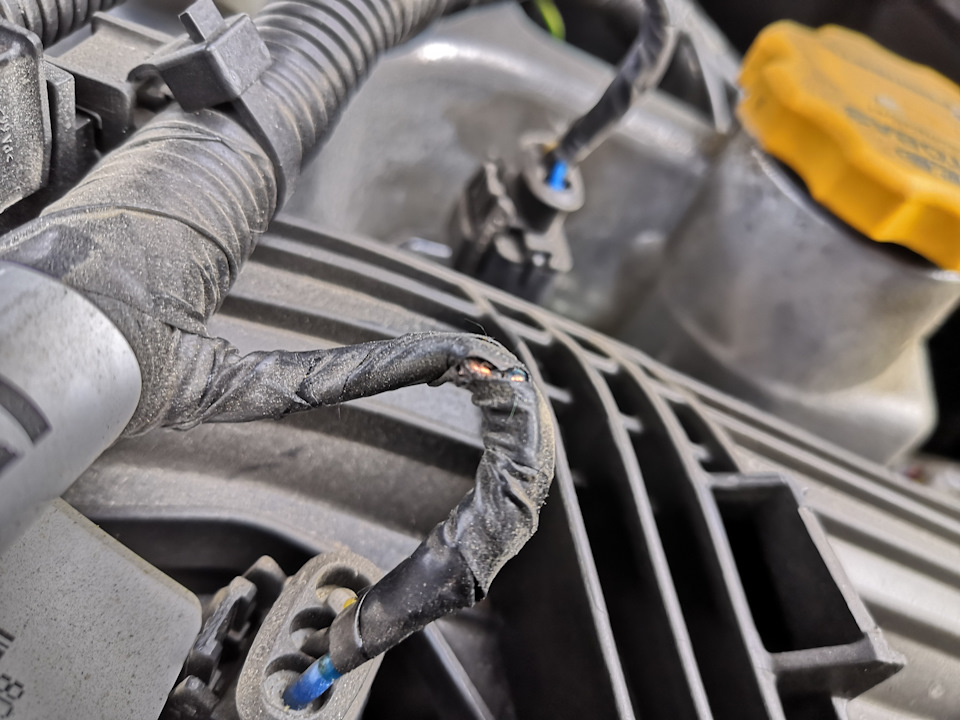 Гарантийная замена жгута проводов — LADA Vesta SW Cross, 1,8 л., 2018 ...