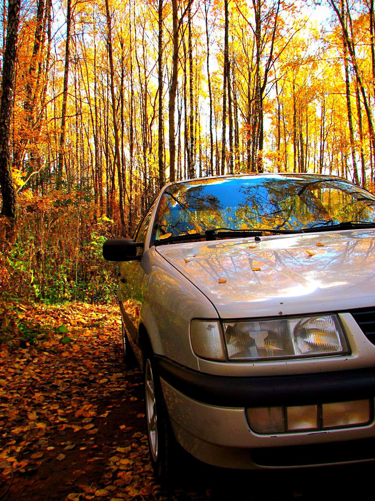 Лопнул распредвал чери фора - 86 фото